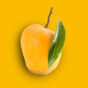 Alphonso Mango Puree Manufacturers & Supplier in Bangalore