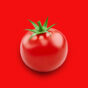 Tomato Paste Manufacturer in Bangalore