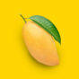 Totapuri Mango Puree Manufacturer & Supplier in Bangalore