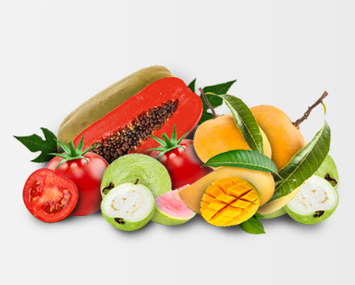 Banner homepage