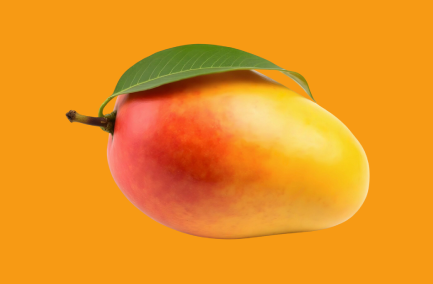 Alphonso 2