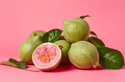 Guava Puree Supplier