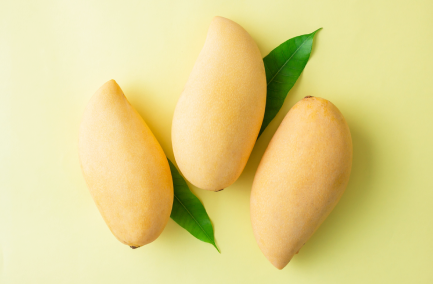 Totapuri Mango 3