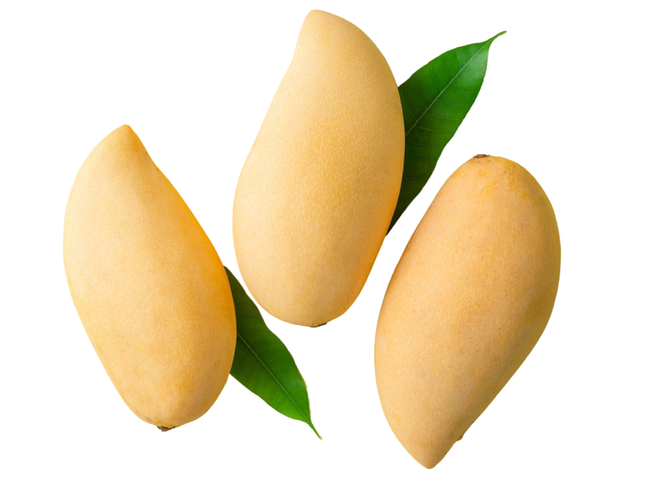 Totapuri Mango